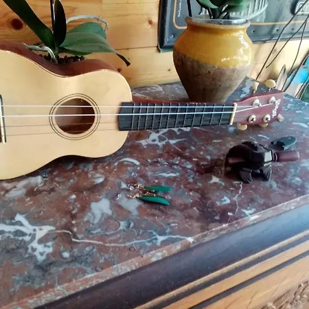 La Tartaruga Frontignan