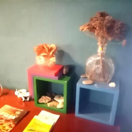 La Tartaruga 펜션 *